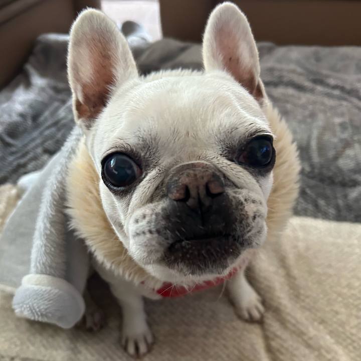 0384bc63 2806 4fd5 a11c 1f1ca78ba093 1736661652060