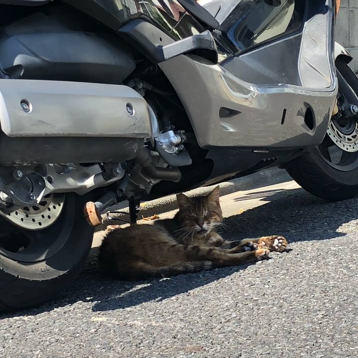 0384d454 0269 4a9c 8c5b 17f4124296f5 1623310082703