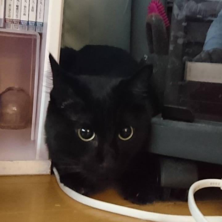 0384fda9 9b26 4541 9533 efd7f3f192d3 1534634492504