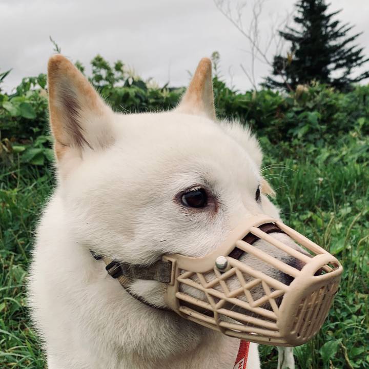 0384fe87 0243 4da7 ad97 ca1773962b4d 1598822637737