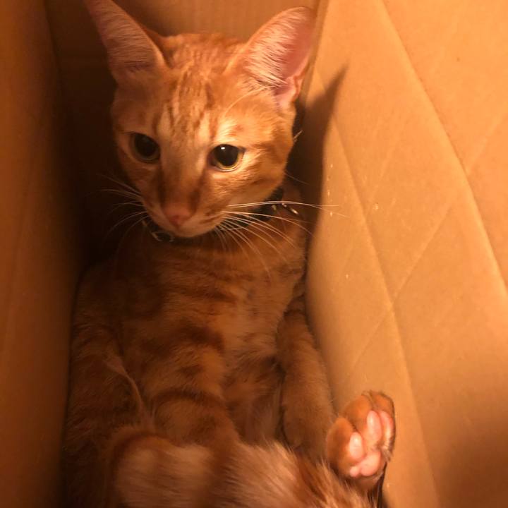 03851f8f cdb4 4024 8b9c eb160376f88e 1639341598517