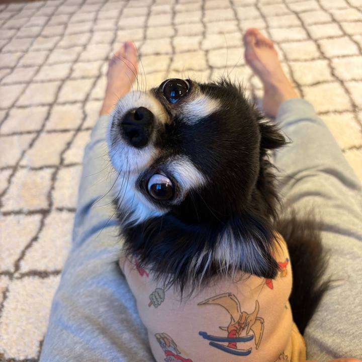 0385352c d824 473a 8f48 c348db1594eb 1733673736167