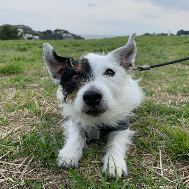 03858c2b 8f6b 4727 8528 7c1a103a1cc8 1680422684247