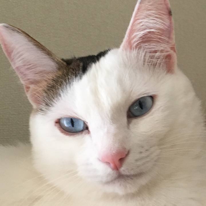 03859d02 09cd 4796 b5af 391816f1ae1f 1558143815836