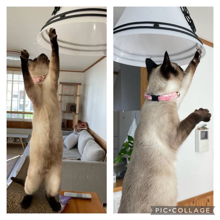 0385d715 39d3 4363 9005 9a310a6ddf74 1714700887233