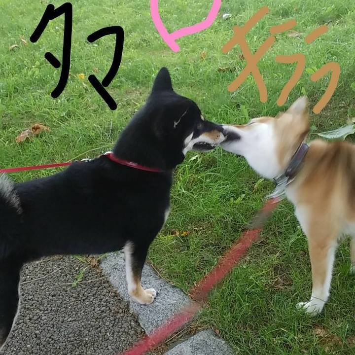 0385e185 f452 4d88 869a 5f852043bea1 1533807825978