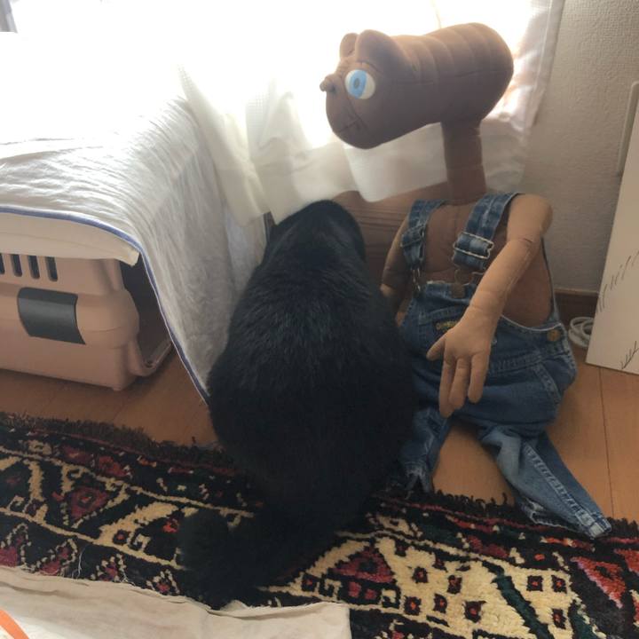 03861bb7 b75c 46da ae97 ae120d111b83 1563081228714