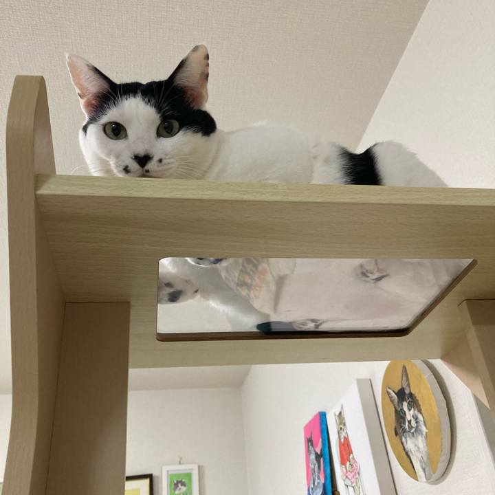 03864355 132d 4675 8c56 48b8fdfee6d1 1761437248693