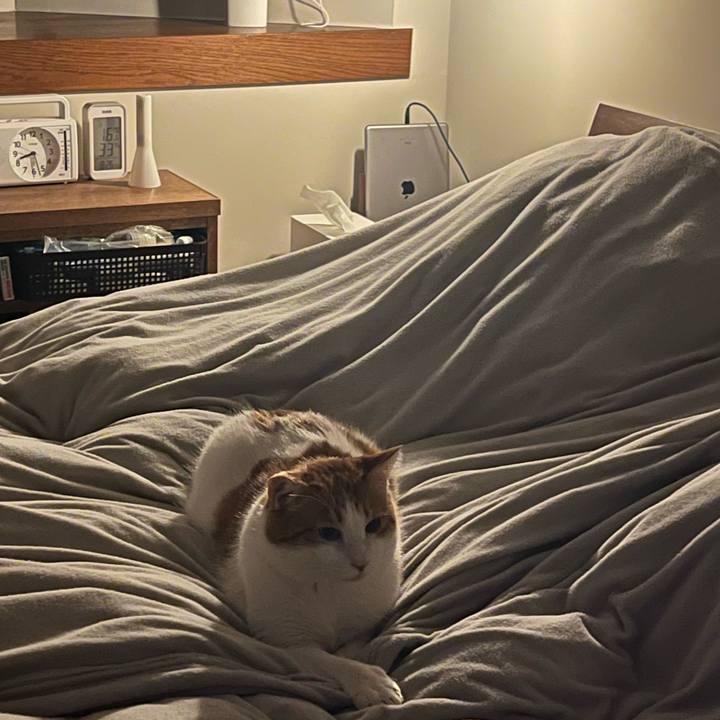 0386717e 2521 45db 8739 e98162bcf707 1769686152019