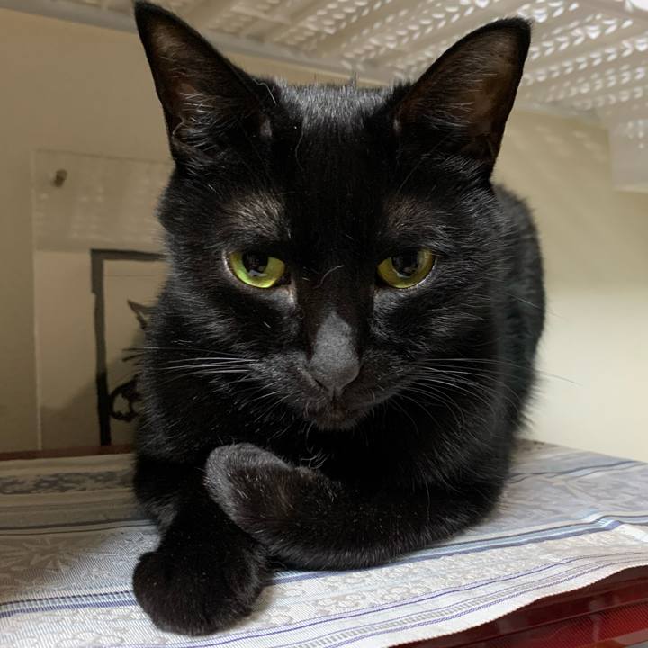 03869e8a ba7c 4d12 ad65 d005b37d9330 1641799102618