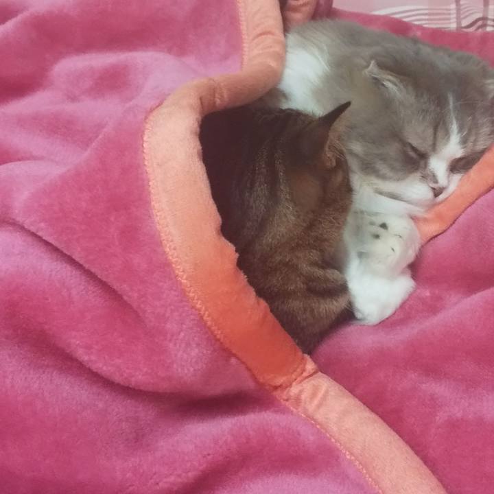 0386c423 d217 4e98 bee1 8a3c1744ea9c 1670412952795