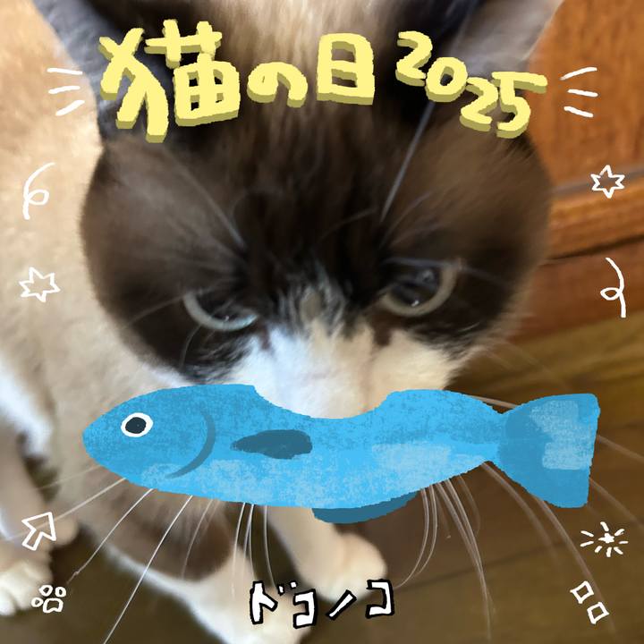 0386cafe 890f 4b86 aa61 23f1a7fd12c1 1740136975084