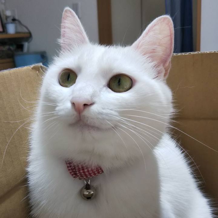 038723aa 5218 4d6c 895f 0a7ec9abb89e 1626658394899