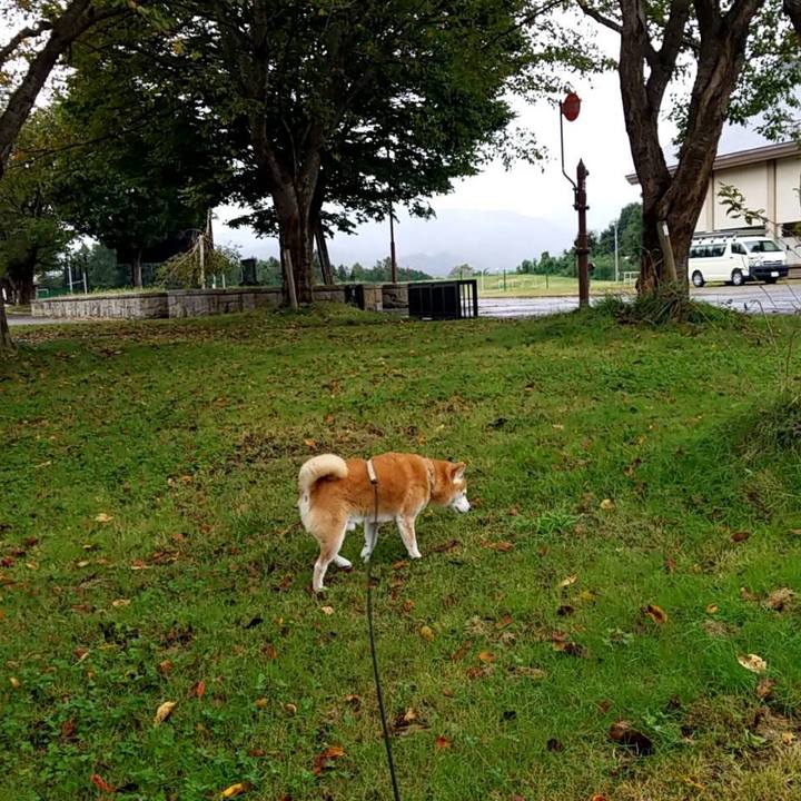 0387c055 223e 4ee8 bb0e 2140d77f6f93 1666066204526