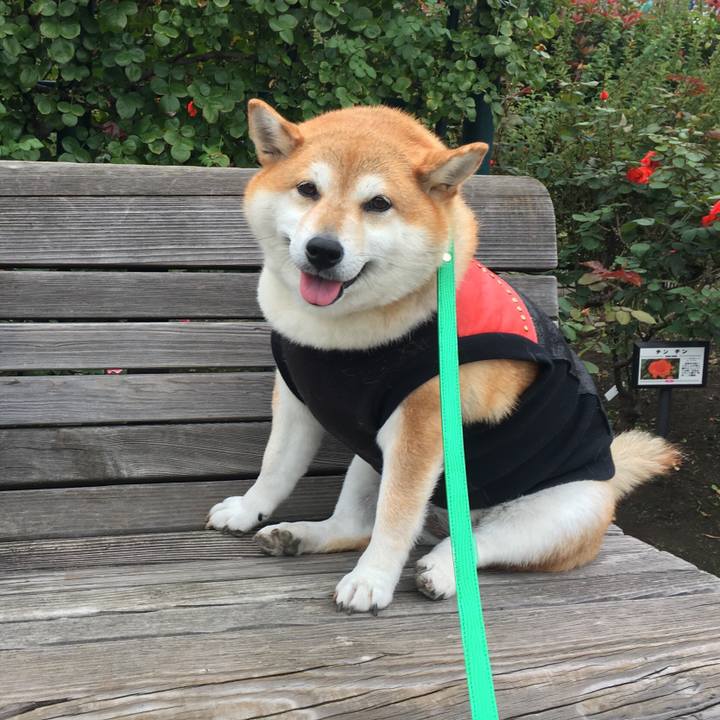 0387c5f3 0f50 4668 93ca dc1ee94fc793 1614926402679