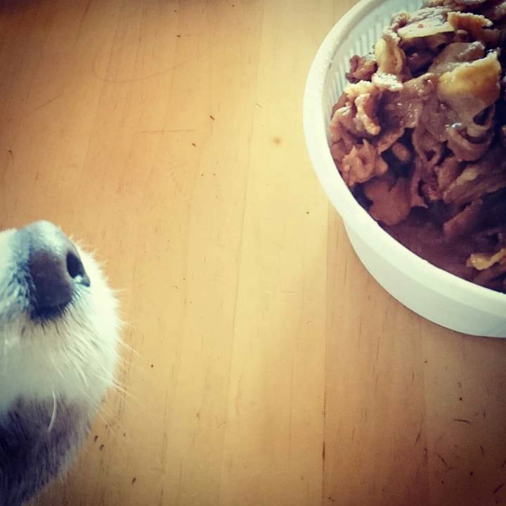 0387d281 8efc 40c1 bea3 18cc357592d3 1524890087272