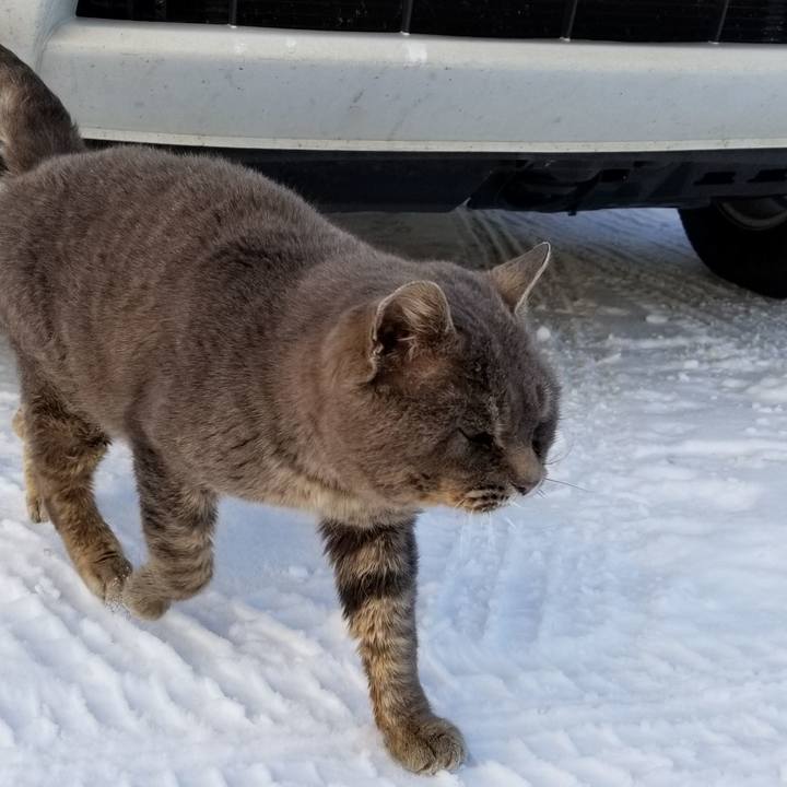 0387d7c6 337f 43e3 90b1 450d98f2a50b 1549754897458