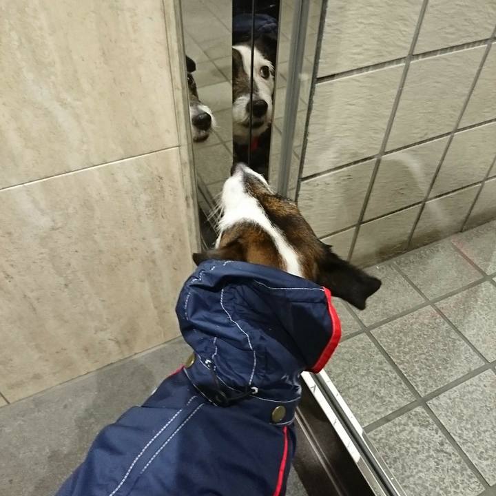 0387f85d d6ce 4b0e 8849 331453ca7249 1521202609088