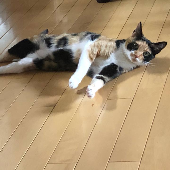 0387f9d0 3f98 4da7 aa55 cf50369b3336 1562108308592