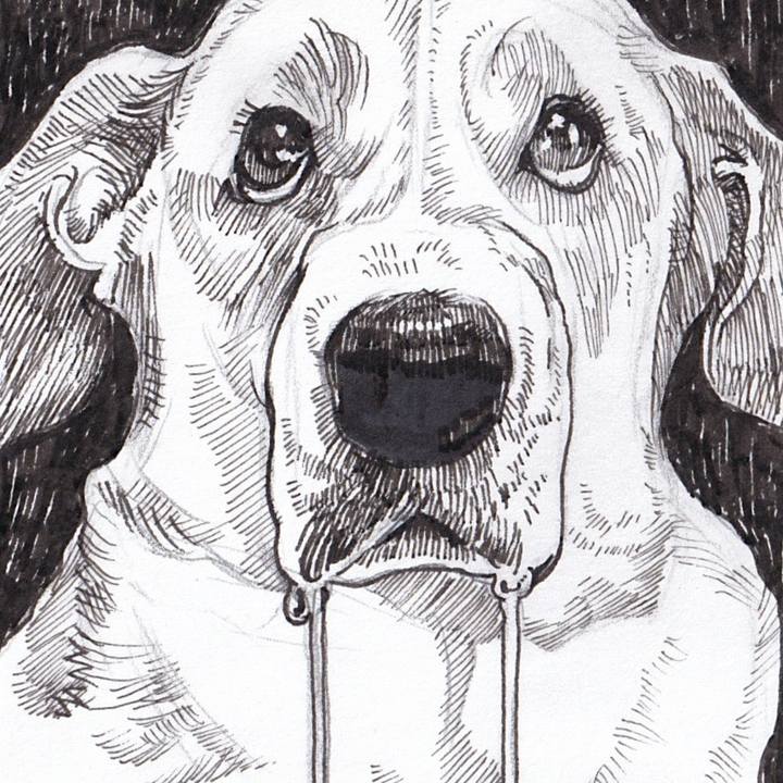 03880a4c ef23 4231 a171 c52c4b6a195f 1741404751768