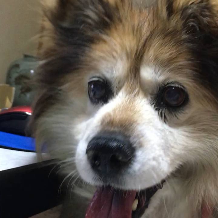 03881989 b196 4acd 8a09 820c66f3126b 1599430881414