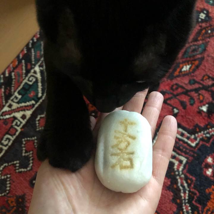 03881db7 e3da 485d 9f2b 720c2a271bcc 1573512740580