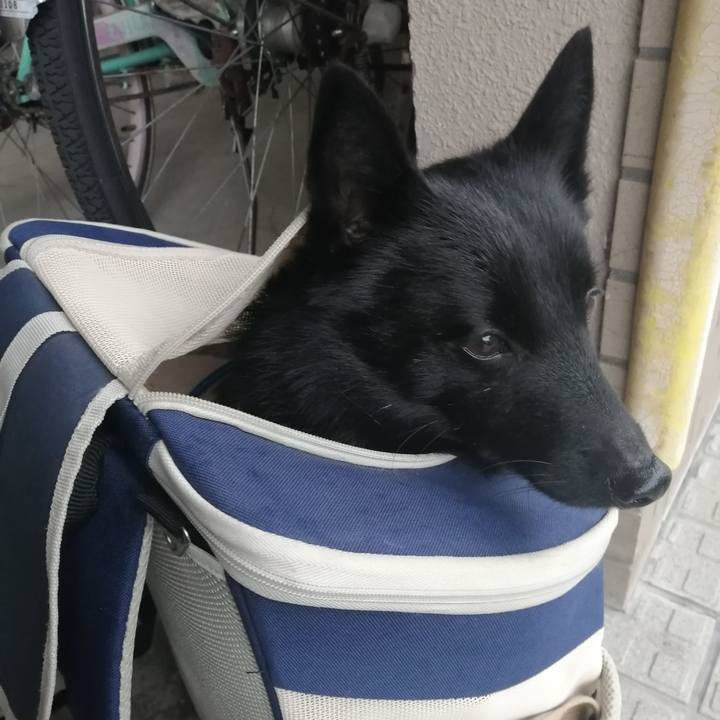 03883d5e 3e98 44cd 8219 80af1c3ce28d 1616913104889