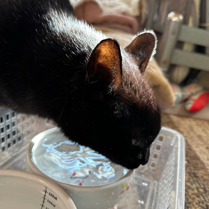 0388401b 4e2d 467c bd89 bf3000a04f45 1698455722566