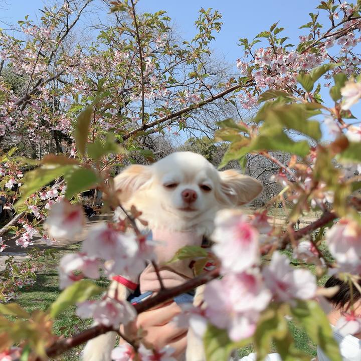 03887972 8cc2 4adf 9d8a 12c31117cde7 1710591631693