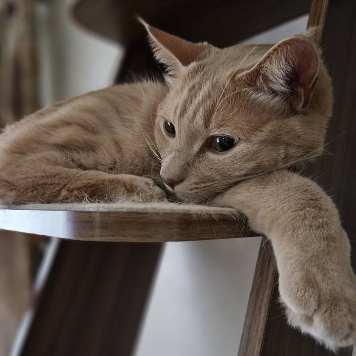 0388d3a4 519e 465f 951c 7a44644060da 1693112783195