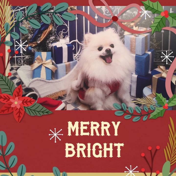 0388f113 a3d0 4d31 afa8 82f97ca7641f 1545577408337