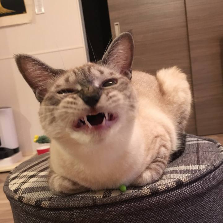 0388f599 fd4b 4986 8aac 39ff5ddad5a9 1569723739810