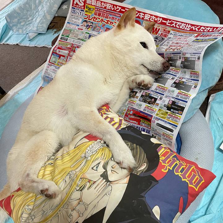 03890f4d 4174 479f b350 2927e1f0b703 1656235306624