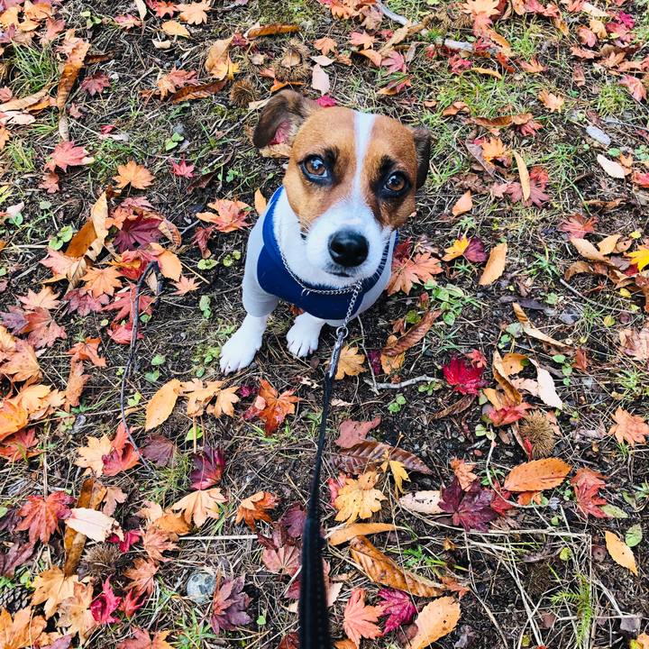 038917d4 c009 4291 9939 97eedc8f9498 1633699575358