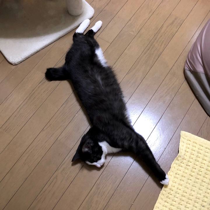 03892ac5 2c52 4cb1 b8de af866a201ce6 1555505901262