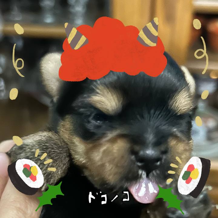 03897eba 26dd 4559 9dd1 e0d0049c11c6 1706874266273