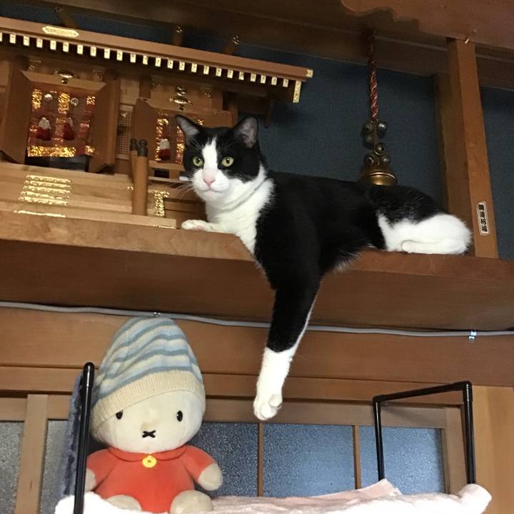 0389b72d 7383 4363 81f9 849471d4a51d 1726649406963