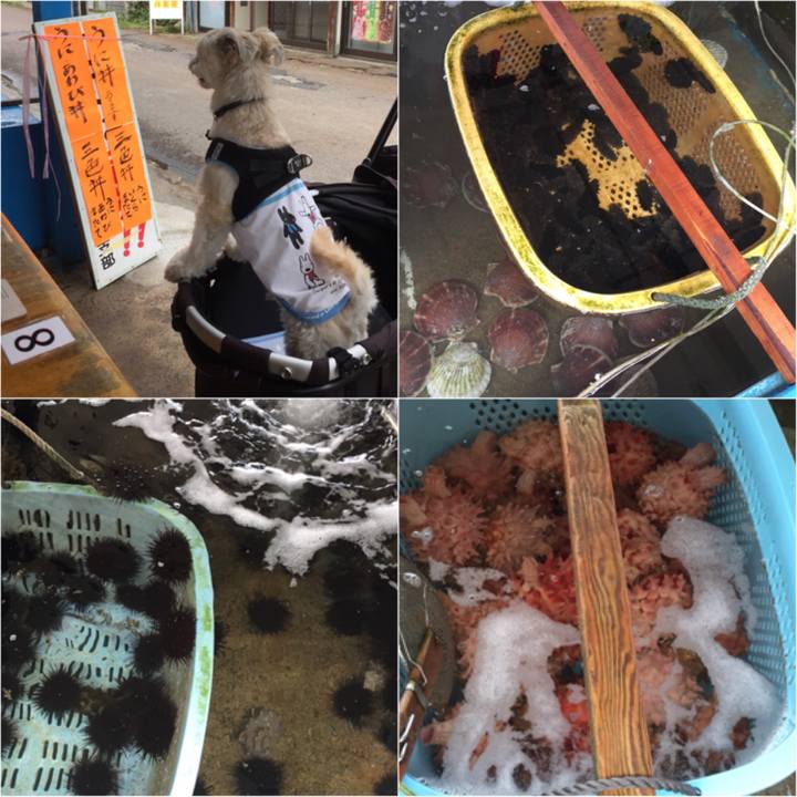 0389f840 ac82 48be b25e 850d9a57770c 1530398941939