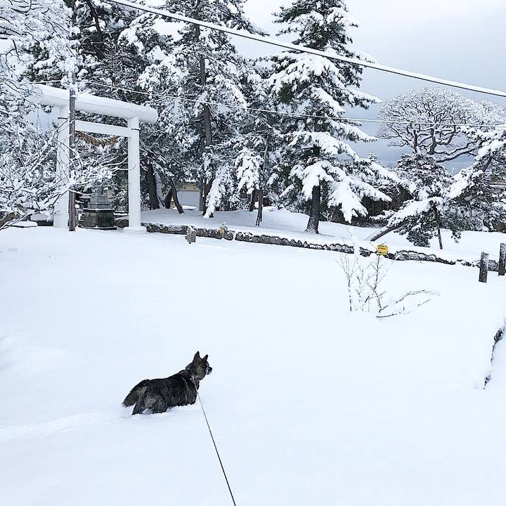 038a529d a584 4b17 bf3e 557446cdf460 1515753120607