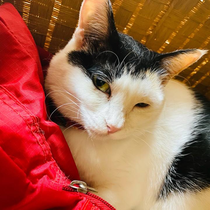 038ab027 23f6 498c 8323 14190d395fe5 1716909678448