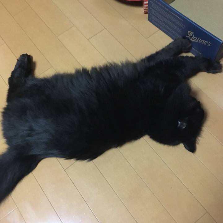 038accae 3c75 4263 ac0c 79300b8d61be 1551663526964