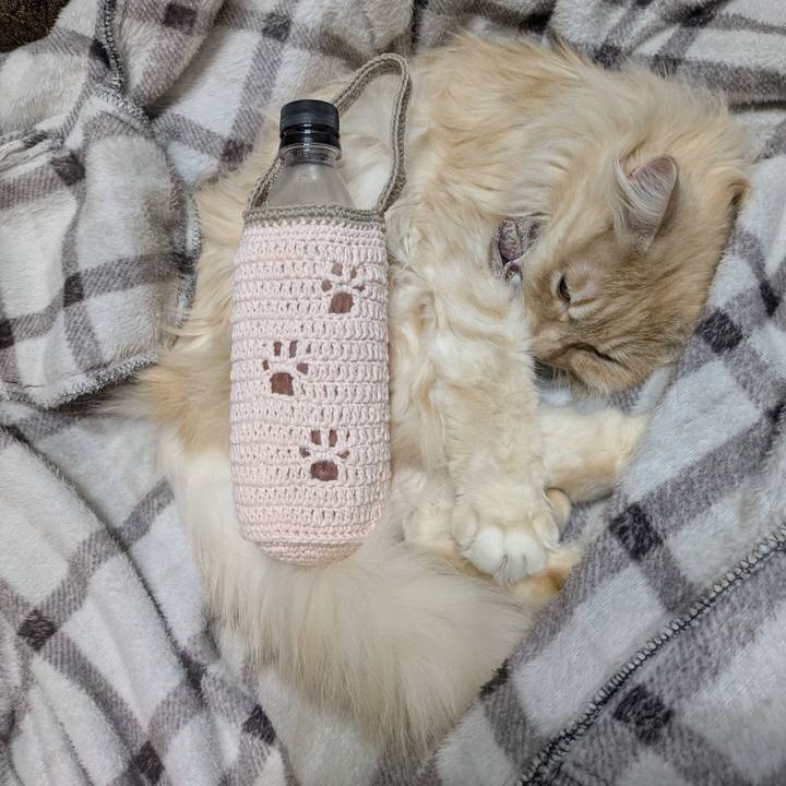 038aed29 089c 4c18 b3b4 17184d1b1d6b 1771255405192