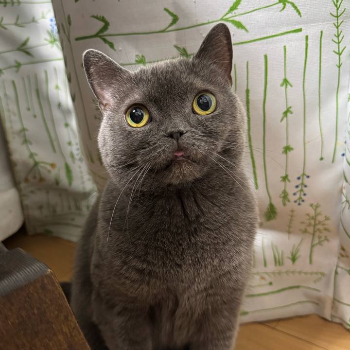 038b1df1 fd91 4bb1 9d51 30e1dcaf2bee 1763204856138