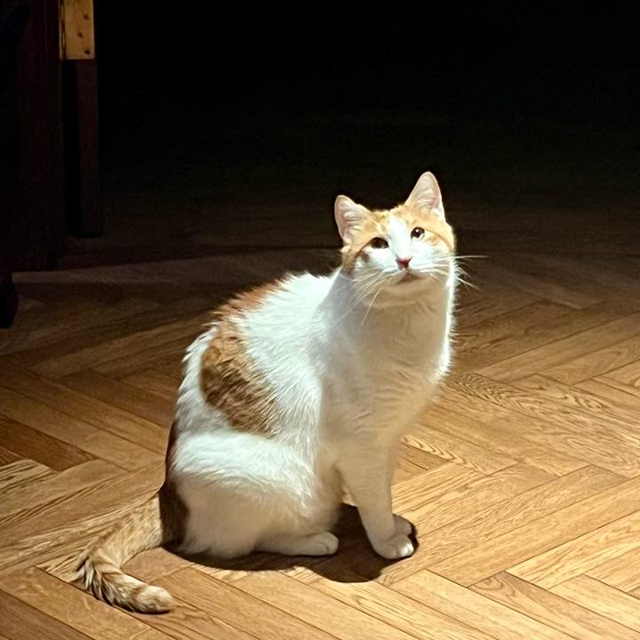 038b1f34 6079 46b8 8568 4413e9734e1d 1763035702601