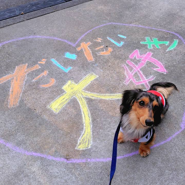 038b5ab9 0b2e 4b7c aa21 b84ed8f27ca3 1745652887860