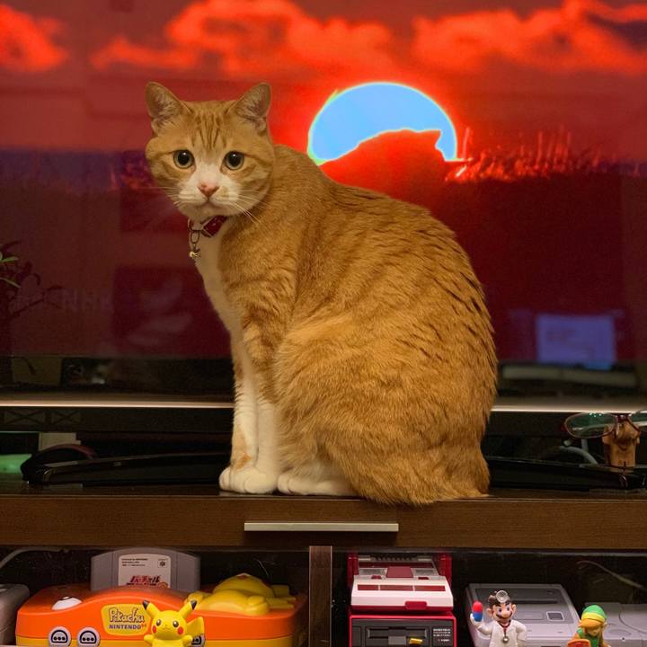 038b6c45 caec 435d 8ffc 262e7e5df1ba 1558027567197