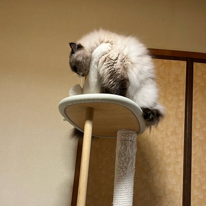 038b81d6 31f2 45a5 9ae6 89f806a88d96 1729691263430