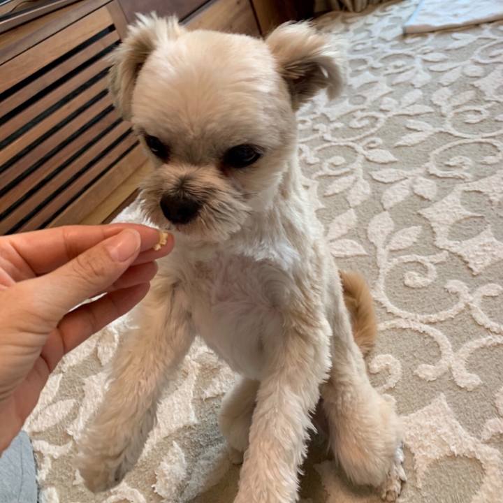 038bcd66 0d5d 4224 b618 805e8346b155 1552483840309