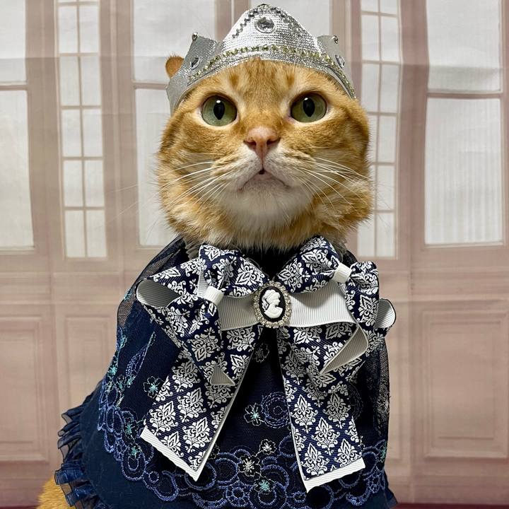 038bdac9 515c 41ef 9219 5475eae75bec 1699446425151