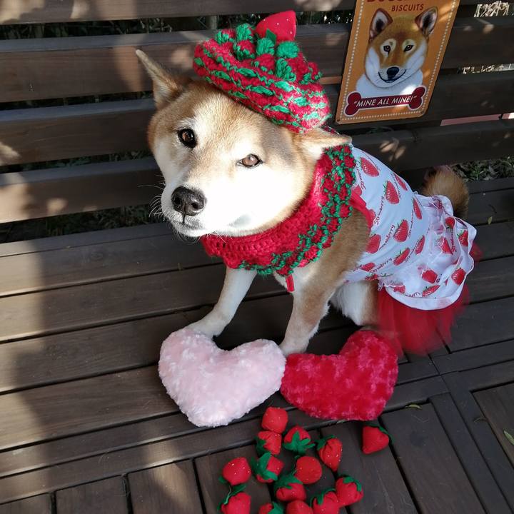 038c0736 55d1 4449 bcde 559259bb49df 1644821096499